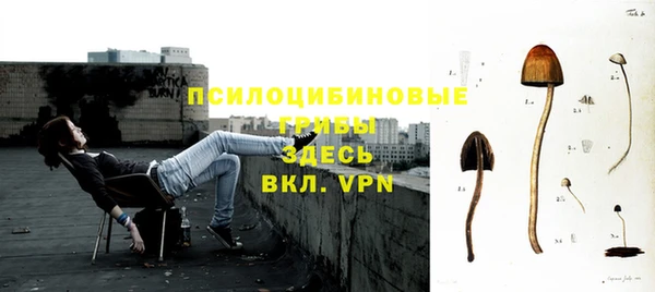 гидра Няндома